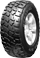 GT RADIAL