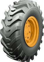 IND 15